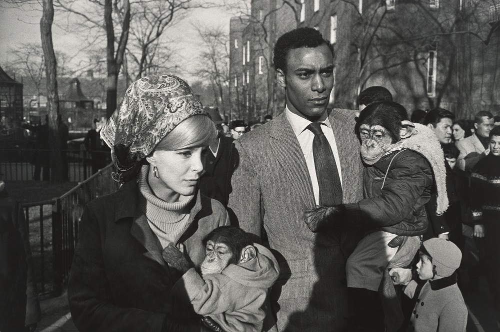 Garry Winogrand