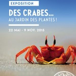 Exposition Des Crabes... au jardin des plantes