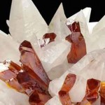 Tresors-de-la-Terre Trésors de la Terre