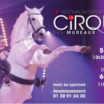 Festival-international-du-Cirque-des-Mureaux