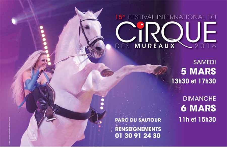 Festival international du Cirque des Mureaux