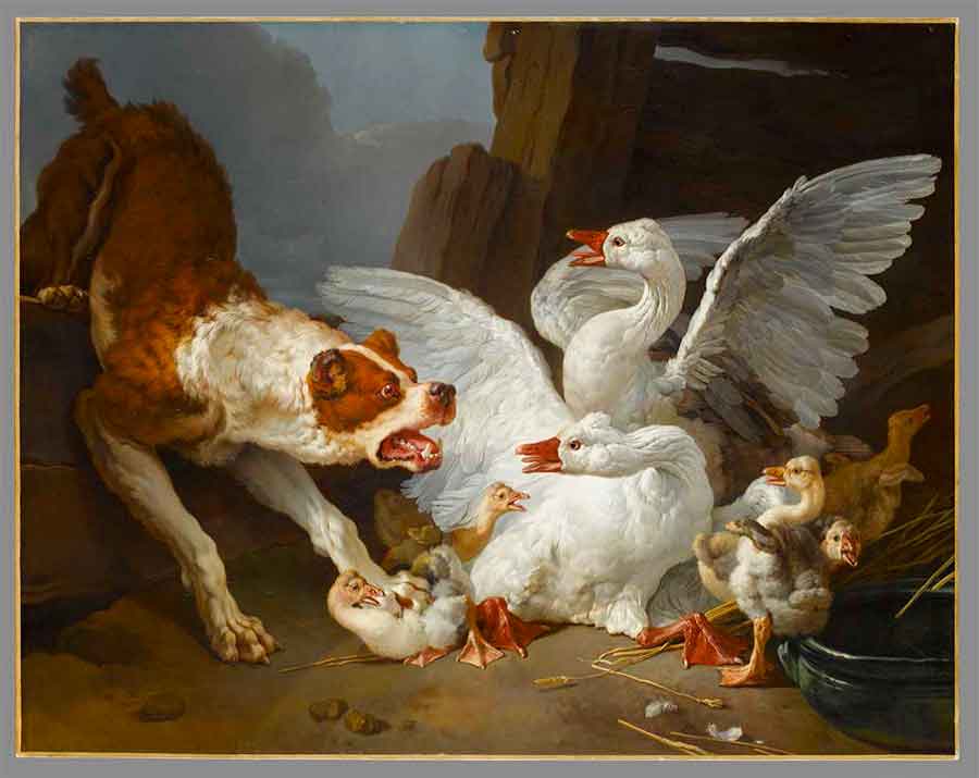 Jean-Baptiste Huet - Un dogue se jetant sur des oies, vers 1768-1769, huile sur toile, Paris, musée du Louvre, département des Peintures © RMN-Grand Palais (musée du Louvre) / Stéphane Maréchalle