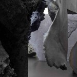 Anne-Holtrop,-Batara,-2013-(c)-Anne-Holtrop-Studio