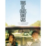cinéma tous les chats sont gris