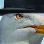 26eme-edition-du-festival-du-film-britannique-de-dinard
