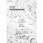 perturbatrices