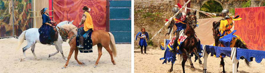francois 1er le roi chevalier