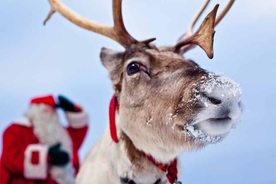 Rovaniemi : Le village du Père Noël