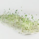 Papier-Fleur