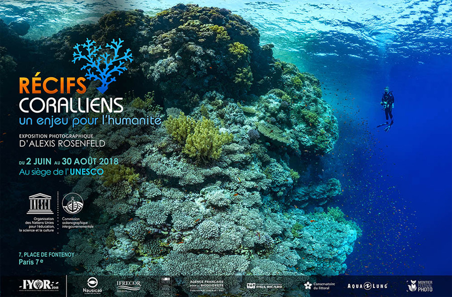 Alexis Rosenfeld : Récifs coralliens", un enjeu pour l’humanité