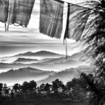 Matthieu-Ricard