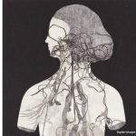 Sophie-Lecuyer
