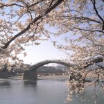Pont-Kintaikyo-et-cerisiers