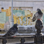 Photo by Anna Pavlikovskaya (43)