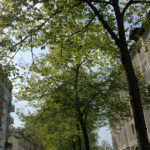 Paris 19 -2020 – Photo by Jean Marc Lebeaupin (123)