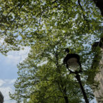 Paris 19 -2020 – Photo by Jean Marc Lebeaupin (124)