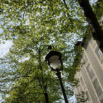 Paris 19 -2020 – Photo by Jean Marc Lebeaupin (125)