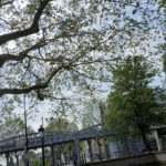 Paris 19 -2020 – Photo by Jean Marc Lebeaupin (138)