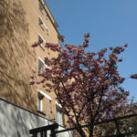 Paris 19 -2020 – Photo by Jean Marc Lebeaupin (3)