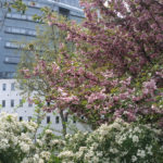Paris 19 -2020 – Photo by Jean Marc Lebeaupin (37)