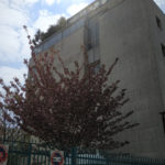 Paris 19 -2020 – Photo by Jean Marc Lebeaupin (75)