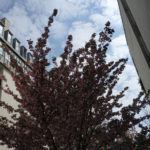 Paris 19 -2020 – Photo by Jean Marc Lebeaupin (76)