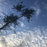 Photo by Anna Pavlikovskaya (39)