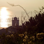 View from Ricardo Reis terrace © Camille de Ginestel