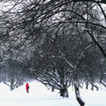 Anna-PAVLIKOVSKAYA-Moscou 2