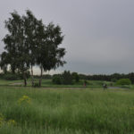 Photo Anna Pavlikovskaya – Walking boldly from the quarantine to the summer (10)