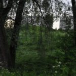 Photo Anna Pavlikovskaya – Walking boldly from the quarantine to the summer (13)