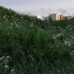 Photo Anna Pavlikovskaya – Walking boldly from the quarantine to the summer (17)