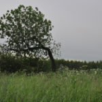 Photo Anna Pavlikovskaya – Walking boldly from the quarantine to the summer (19)
