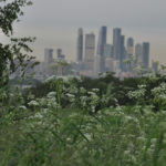 Photo Anna Pavlikovskaya – Walking boldly from the quarantine to the summer (24)