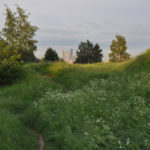 Photo Anna Pavlikovskaya – Walking boldly from the quarantine to the summer (28)