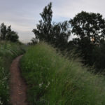 Photo Anna Pavlikovskaya – Walking boldly from the quarantine to the summer (33)