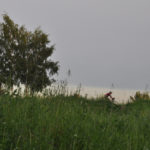Photo Anna Pavlikovskaya – Walking boldly from the quarantine to the summer (38)