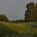Photo Anna Pavlikovskaya – Walking boldly from the quarantine to the summer (40)