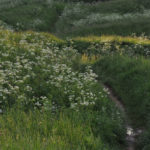Photo Anna Pavlikovskaya – Walking boldly from the quarantine to the summer (41)
