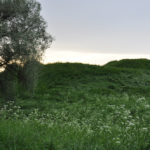 Photo Anna Pavlikovskaya – Walking boldly from the quarantine to the summer (5)