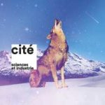 Les-Eclatantes