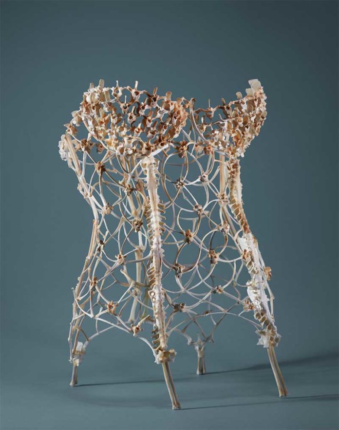 Corine Borgnet - La-Guêpière