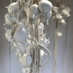 RHIZOME