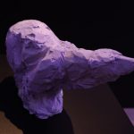 Comment se forme le marché de l&rsquo;art en Russie – Photo by Anna Pavlikovskaya (200)