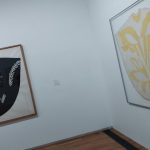 Harmonie des Sphères au Musée Matisse – Photo by Jean Marc Lebeaupin (31)