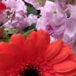 Aquarelle – Photo by Jean Marc Lebeaupin (1)