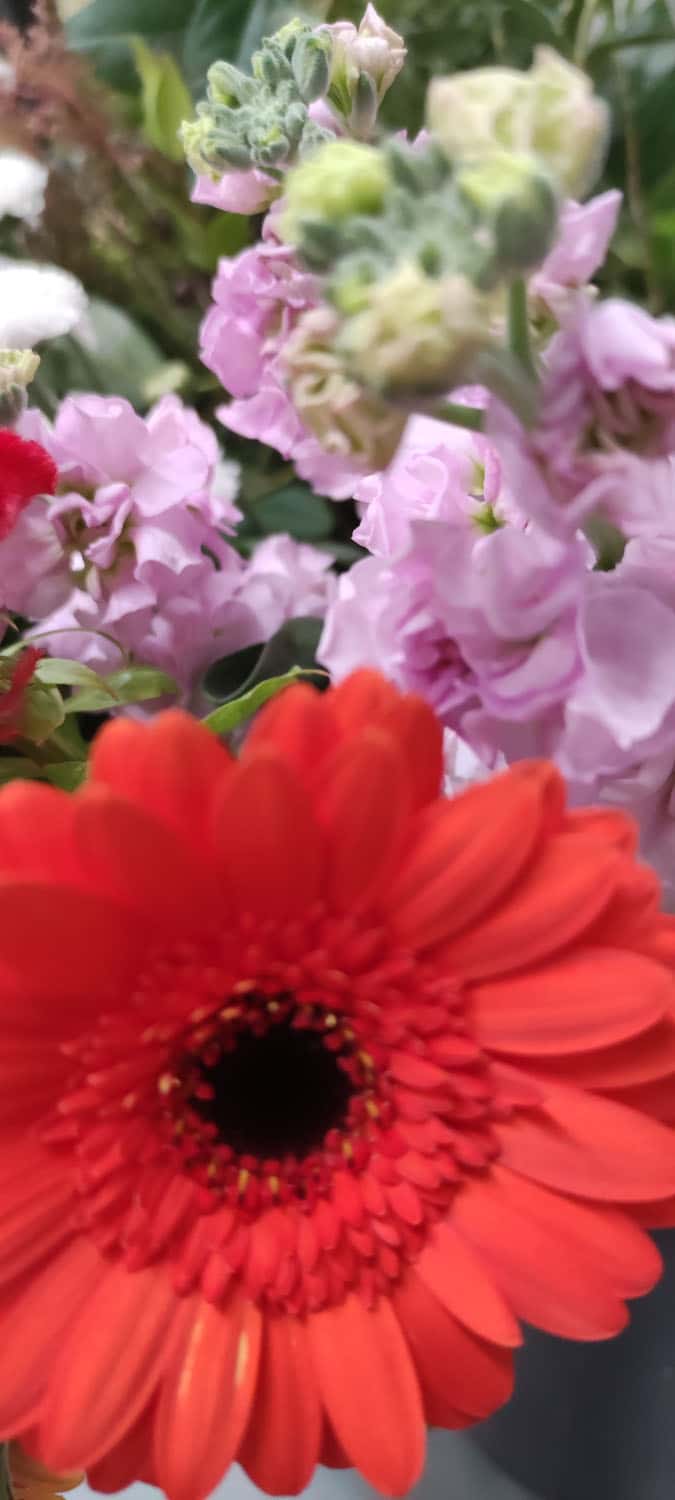 Aquarelle : Des fleurs à la maison !
