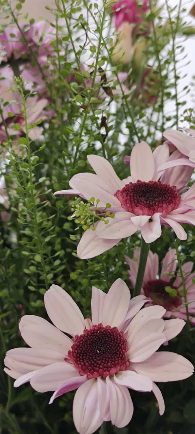 Aquarelle : Des fleurs à la maison !