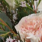 Aquarelle – Photo by Jean Marc Lebeaupin (11)