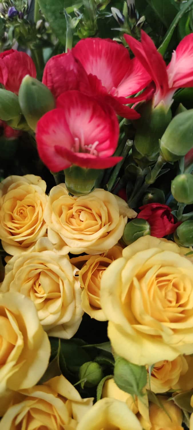Aquarelle : Des fleurs à la maison !
